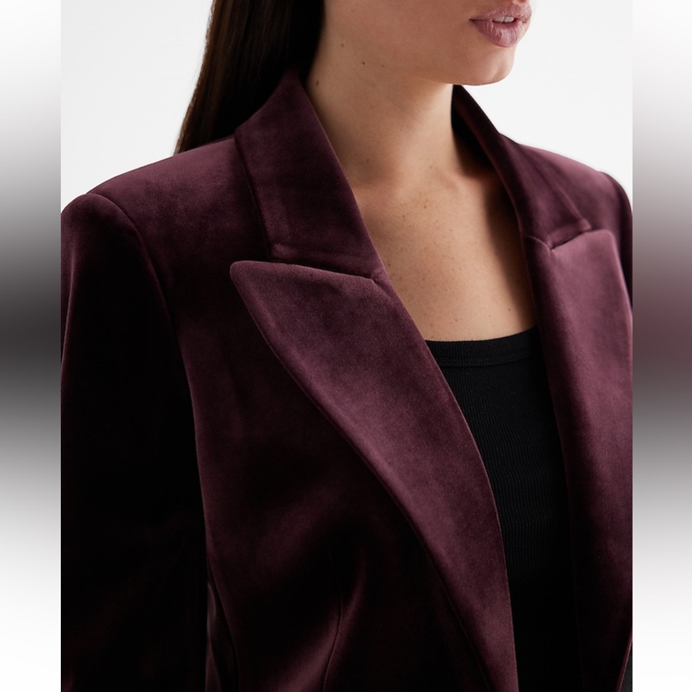 Velvet Blazer - Picture 4 of 10